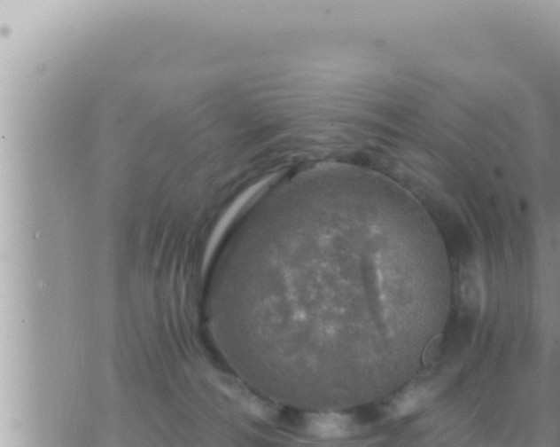 X0000073750226200608102028