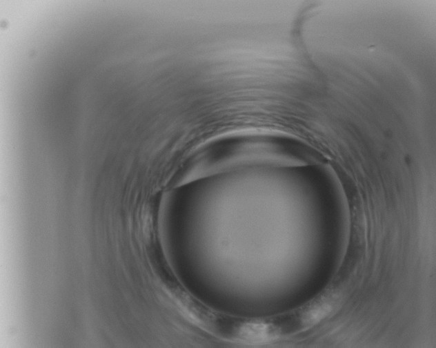 X0000073750227200608102028