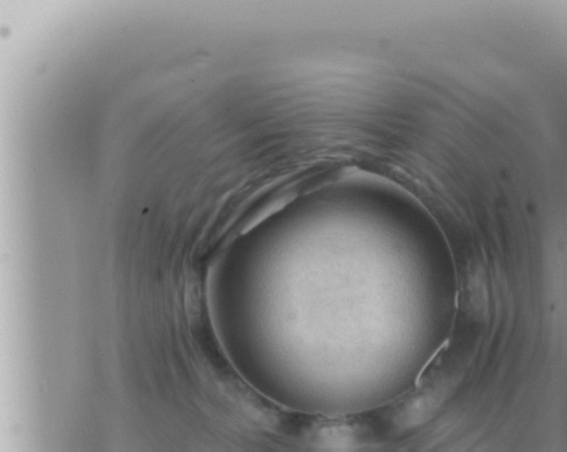 X0000073750228200608102028