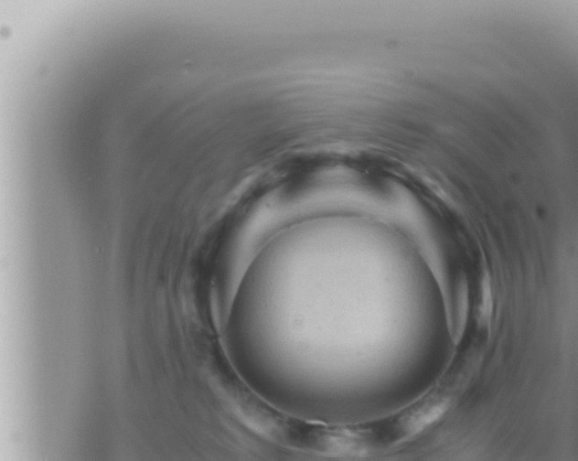 X0000073750229200608102028