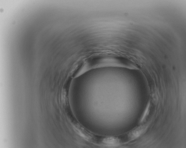 X0000073750231200608102028