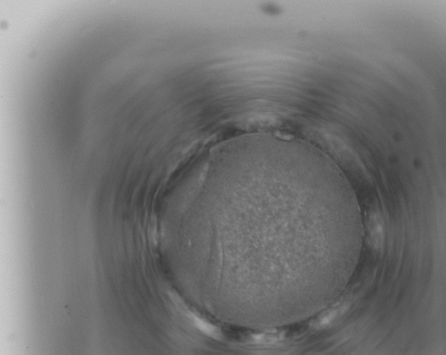 X0000073750232200608102028