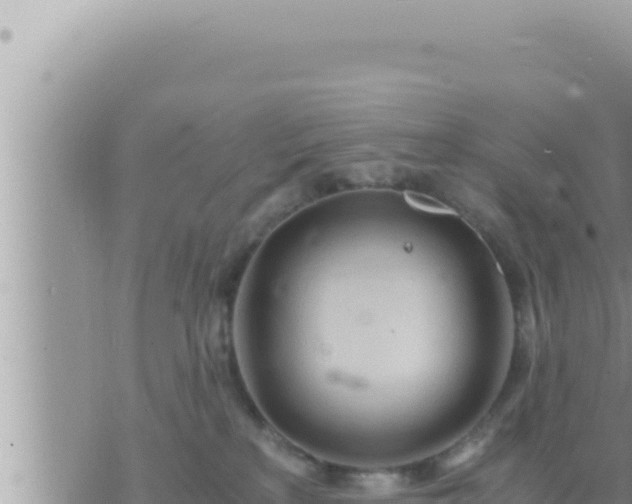 X0000073750233200608102028