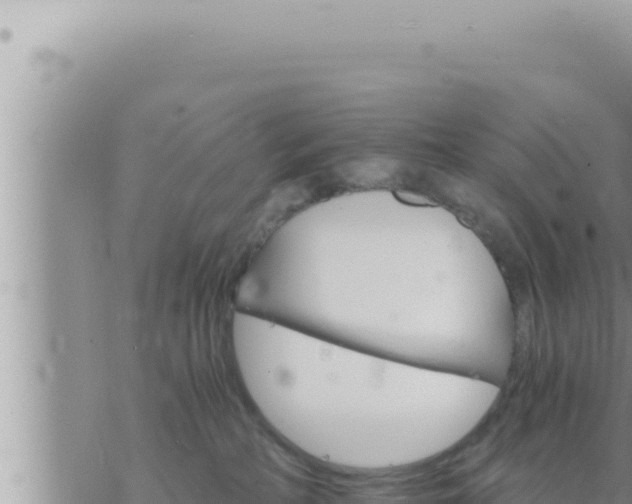 X0000073750234200608102028