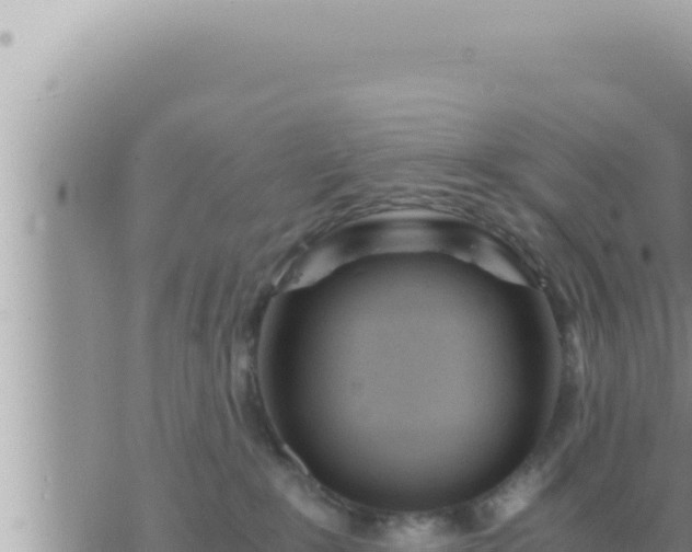 X0000073750235200608102028