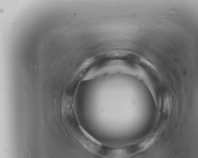 X0000073750237200608102028