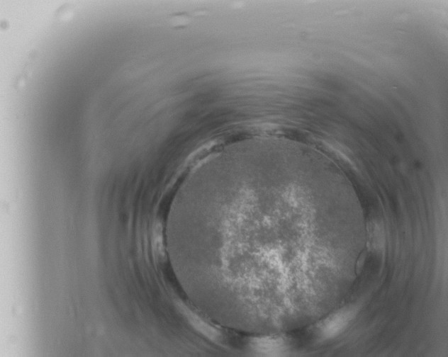 X0000073750238200608102028