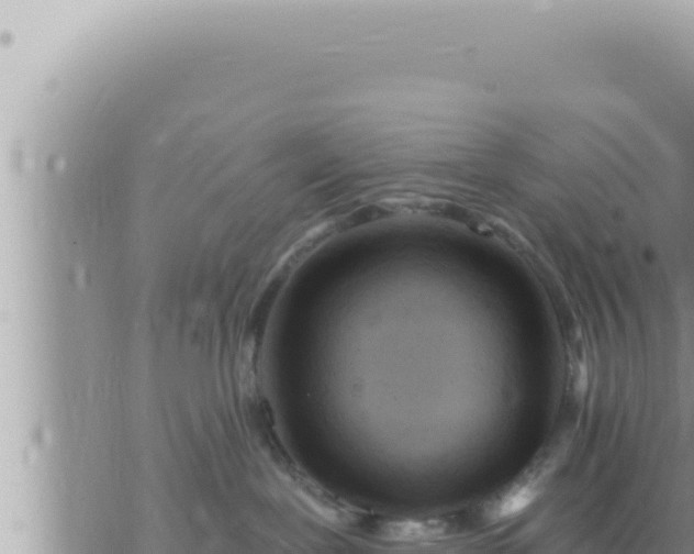 X0000073750239200608102028