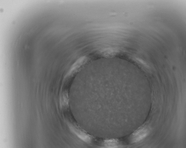 X0000073750240200608102028