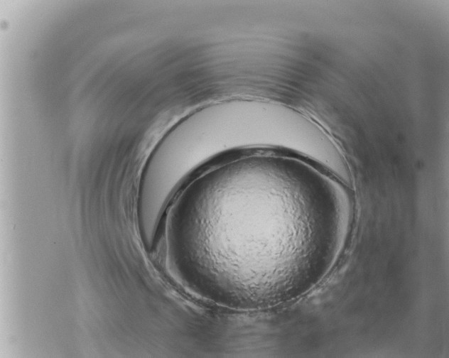 X0000073750241200608102027