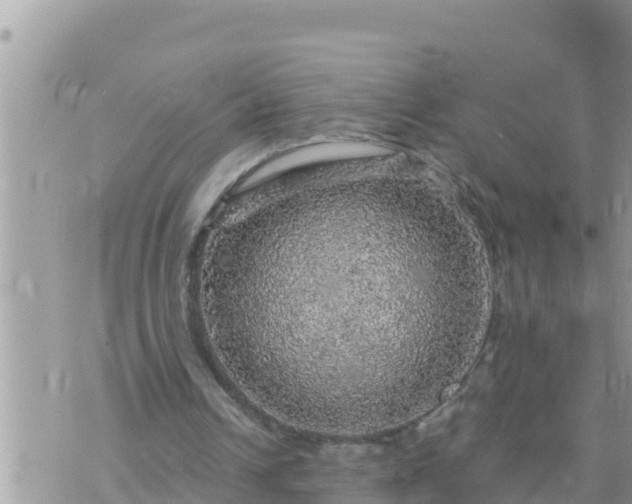 X0000073750242200608102027