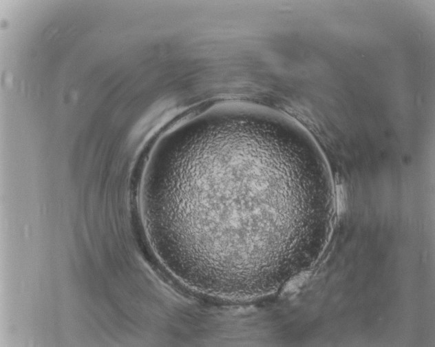 X0000073750243200608102027