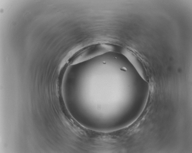 X0000073750244200608102027