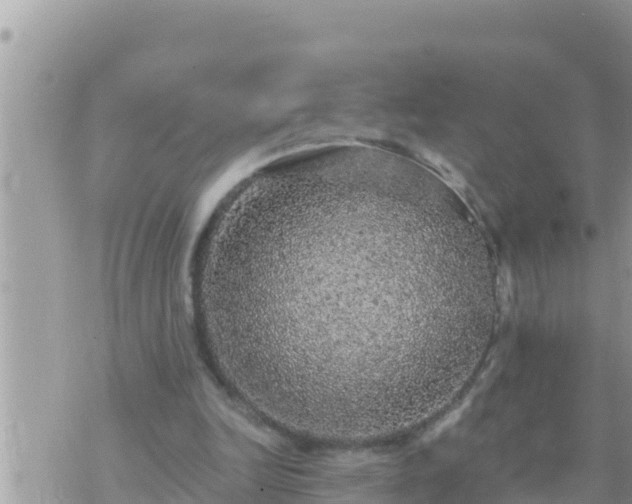 X0000073750246200608102027