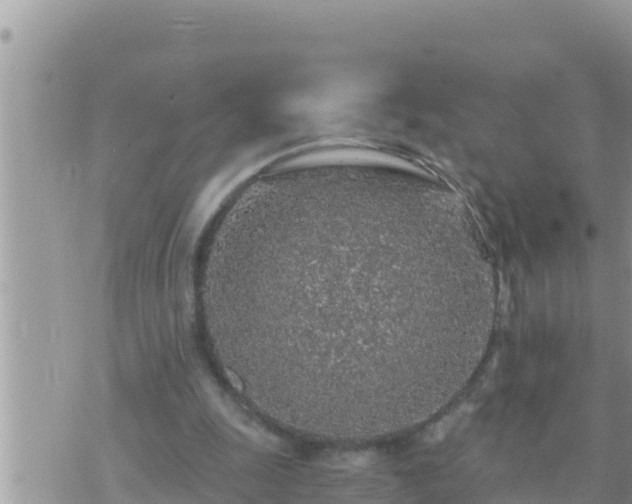 X0000073750247200608102027