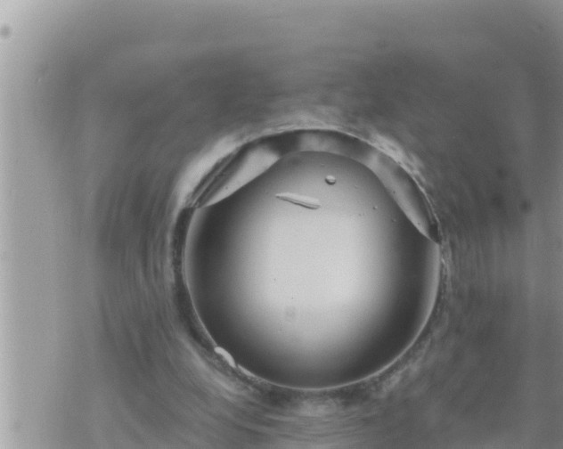 X0000073750248200608102027