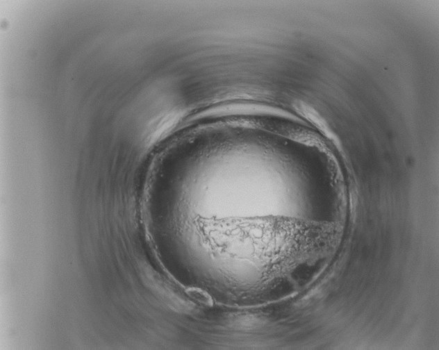 X0000073750249200608102027