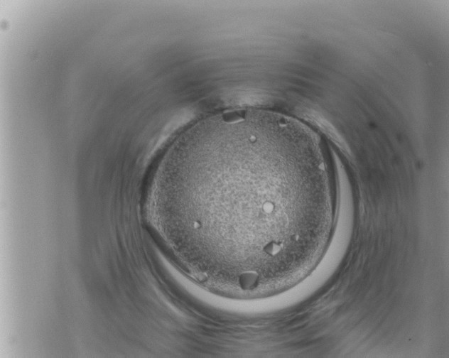 X0000073750251200608102027