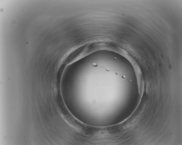 X0000073750252200608102027