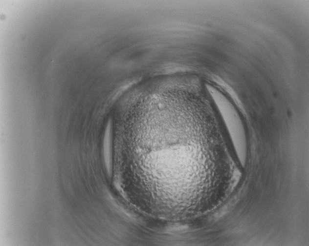 X0000073750257200608102027