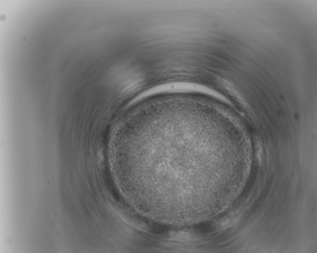 X0000073750259200608102027