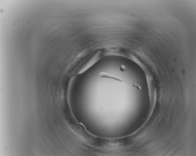 X0000073750260200608102028