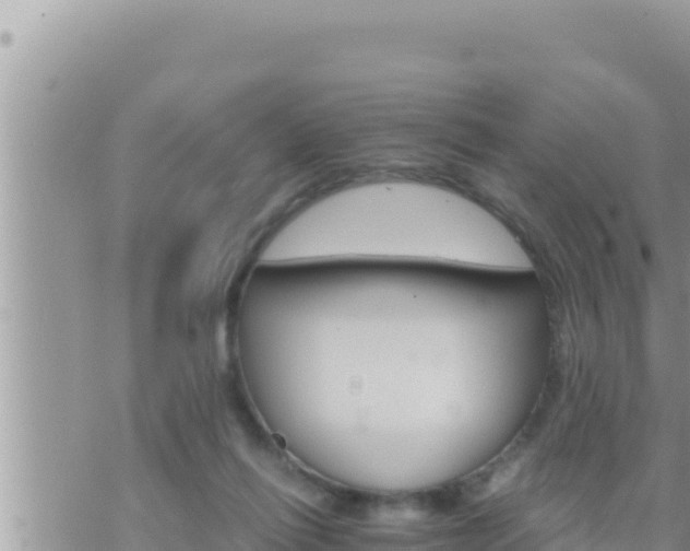 X0000073750262200608102028