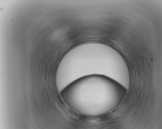 X0000073750263200608102028