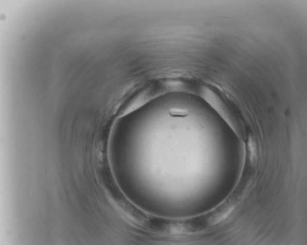 X0000073750264200608102028