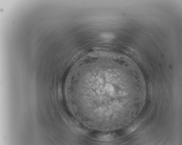 X0000073750267200608102028