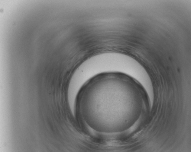 X0000073750268200608102028