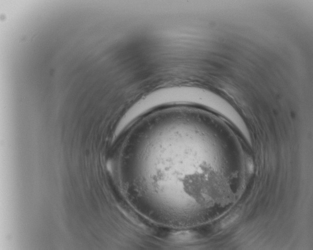 X0000073750269200608102028