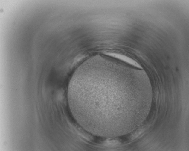 X0000073750270200608102028