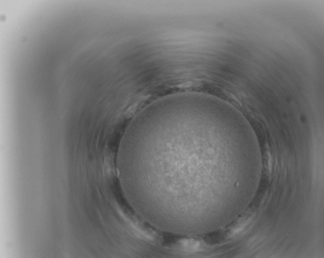 X0000073750272200608102028