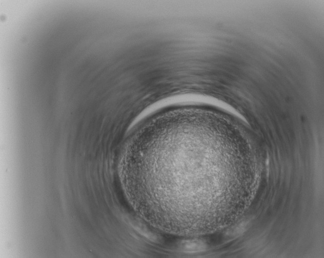 X0000073750275200608102028