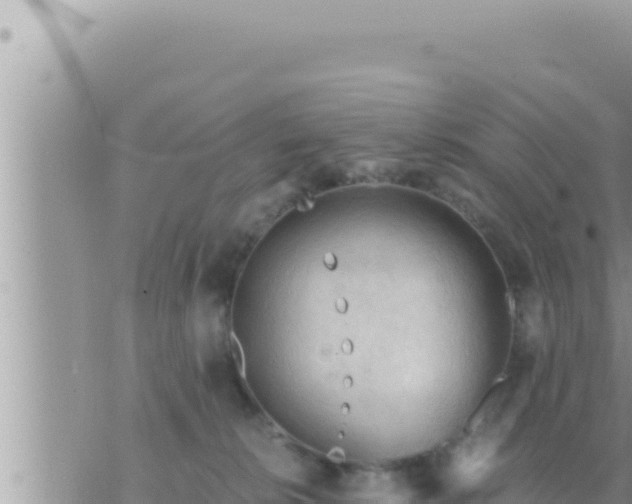 X0000073750276200608102028