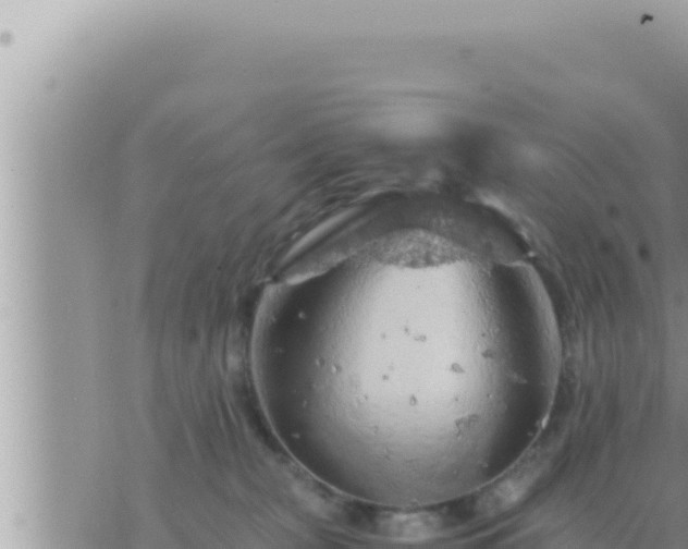 X0000073750277200608102028