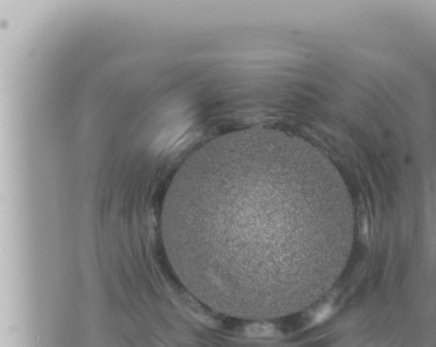 X0000073750279200608102028