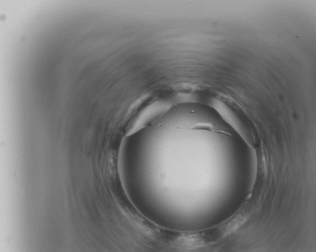 X0000073750280200608102028