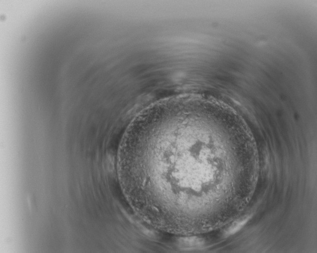 X0000073750281200608102028