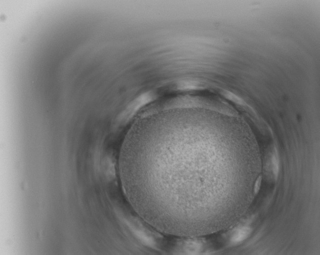 X0000073750282200608102028