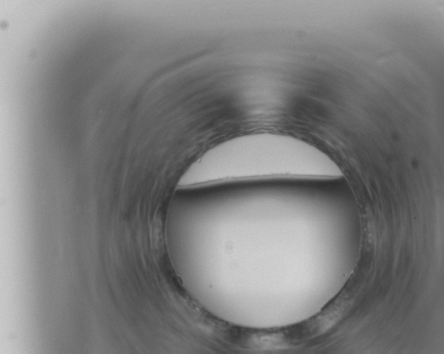 X0000073750283200608102028