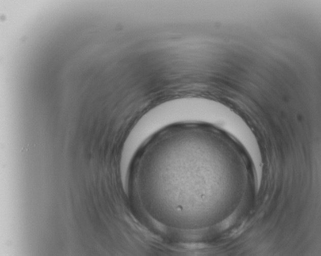 X0000073750284200608102028