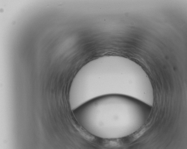 X0000073750285200608102028