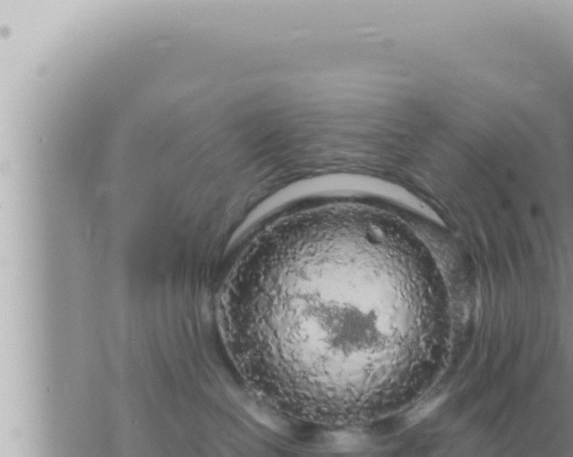 X0000073750286200608102028