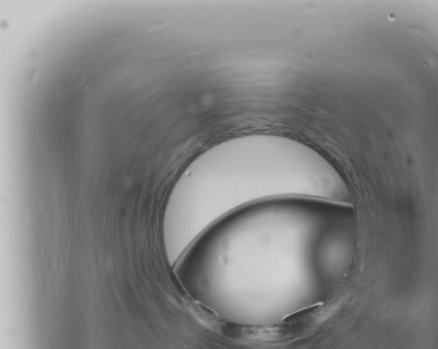 X0000073750288200608102028