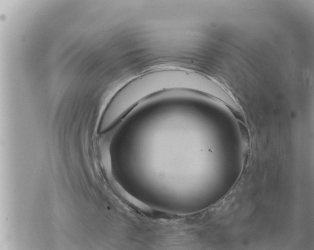 X0000073750289200608102027