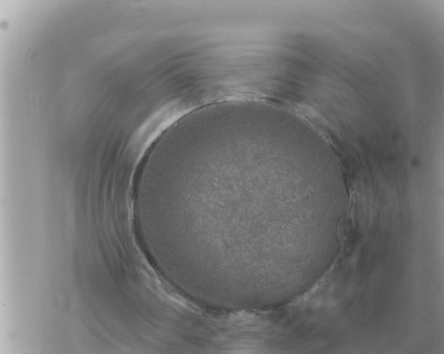 X0000073750290200608102027