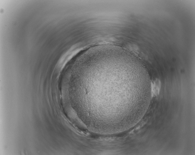 X0000073750291200608102027