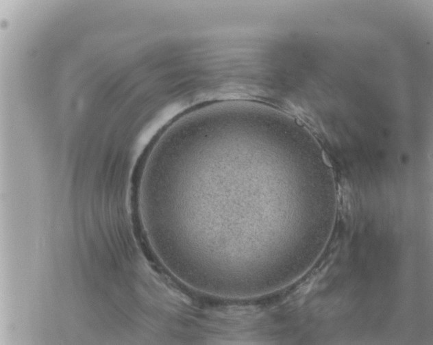 X0000073750292200608102027